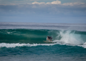 surfing (1)